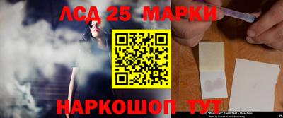 дурь Сланцы