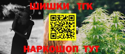 дурь Сланцы