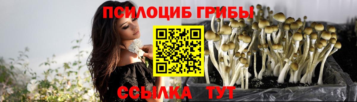 Нижний Тагил  Галлюциногенные грибы Psilocybe  Вход с VPN  Псилоцибиновые грибы Psilocybe 